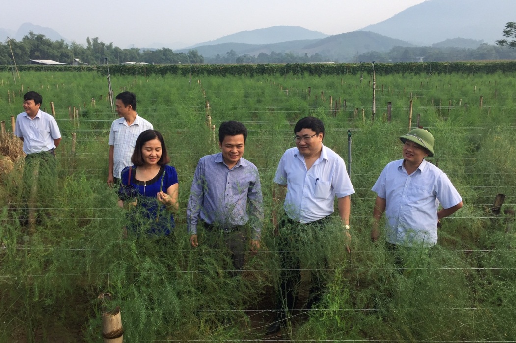 Nhân rộng và phát triển các mô hình sinh kế giảm nghèo